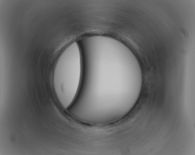 X0000114150020200910081122