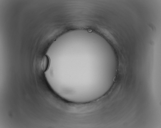 X0000114150021200910081122
