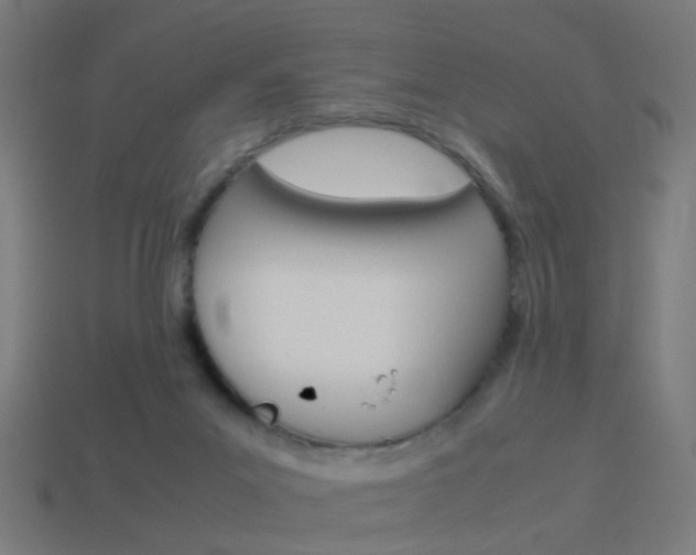 X0000114150023200910081122