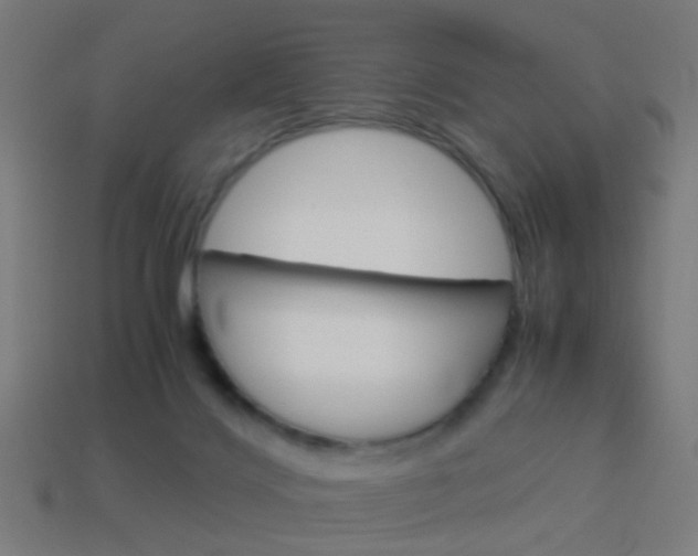 X0000114150028200910081122