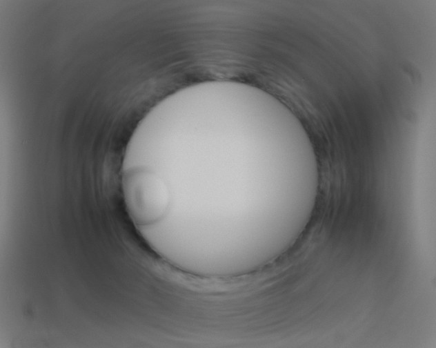 X0000114150030200910081122