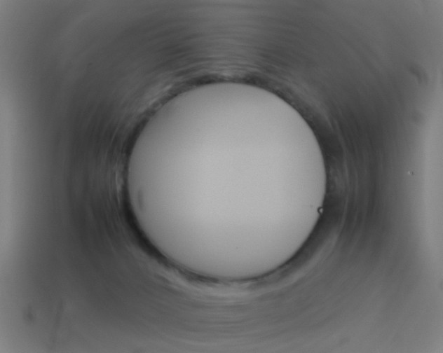 X0000114150032200910081122