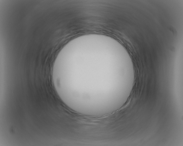 X0000114150033200910081122