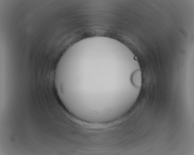 X0000114150034200910081122