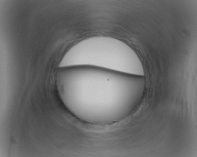 X0000114150037200910081122