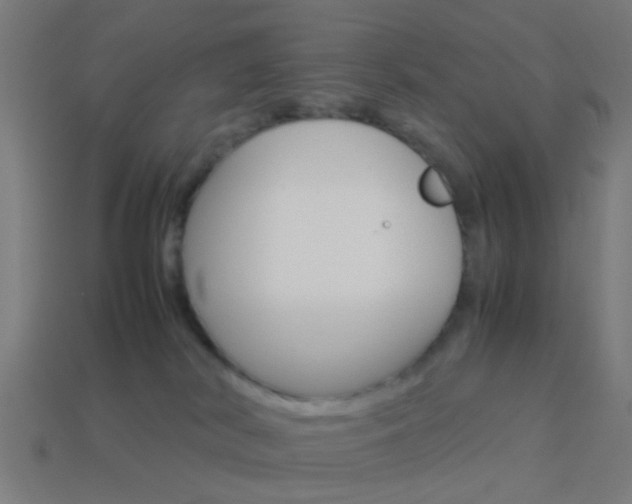 X0000114150038200910081122
