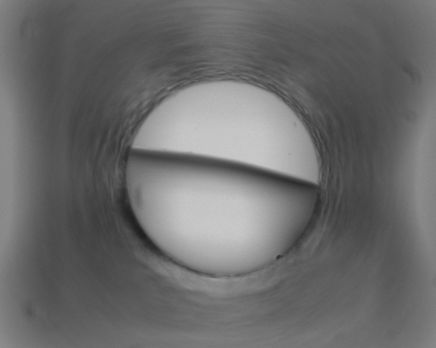 X0000114150039200910081122