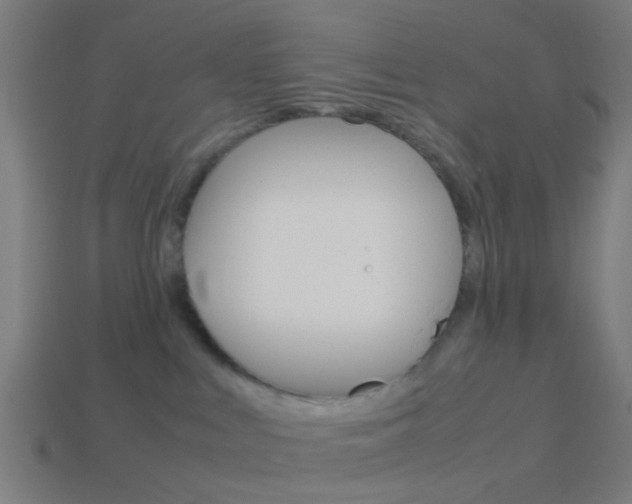 X0000114150043200910081122