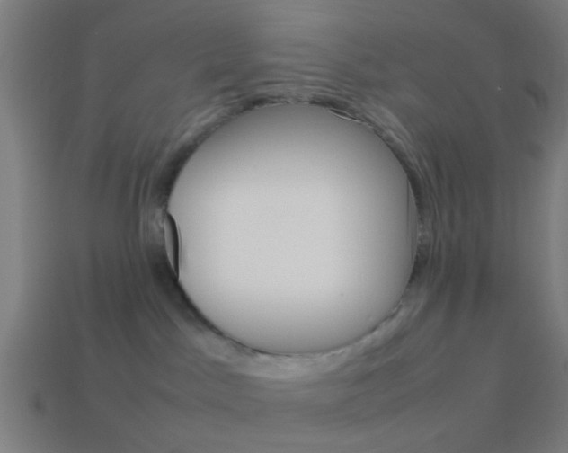 X0000114150045200910081122