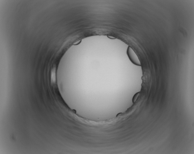 X0000114150046200910081122