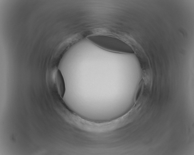 X0000114150047200910081122