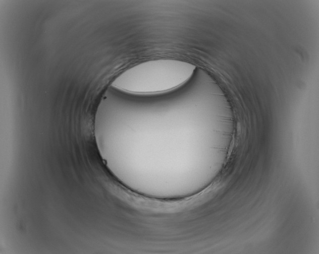 X0000114150048200910081122
