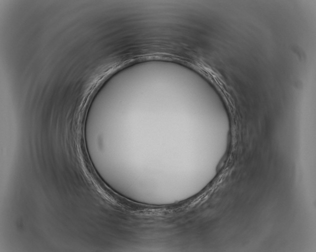 X0000114150049200910081121