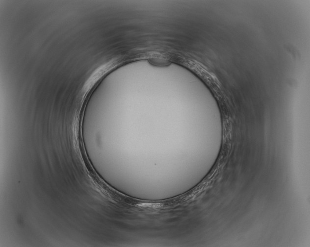 X0000114150051200910081121