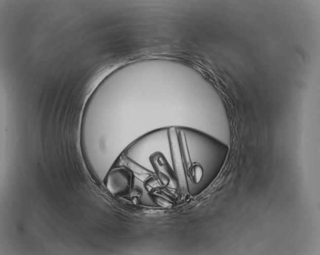 X0000114150052200910081121