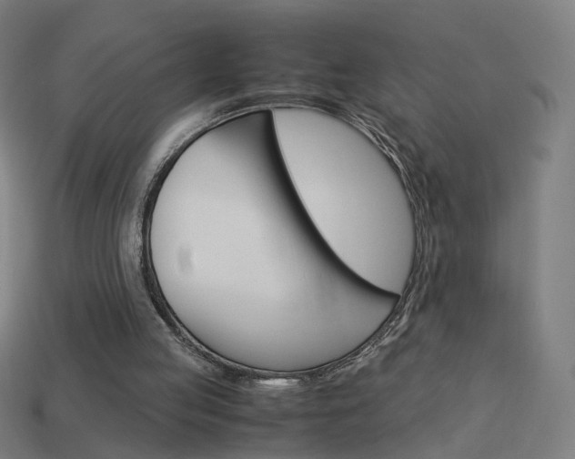 X0000114150053200910081121