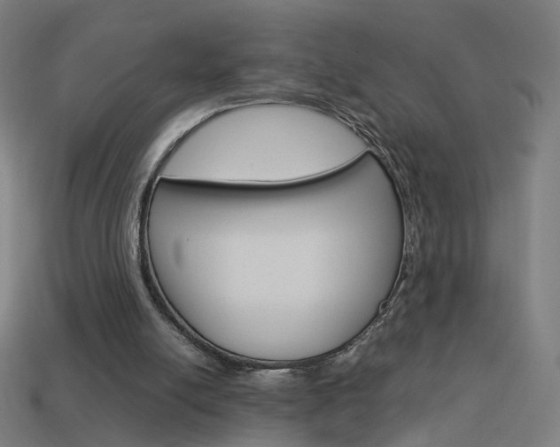 X0000114150054200910081121