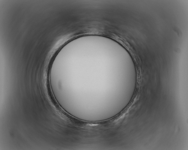 X0000114150055200910081121
