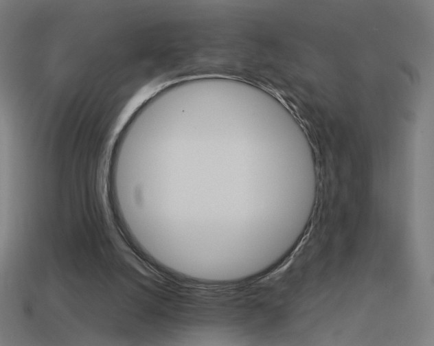 X0000114150056200910081121