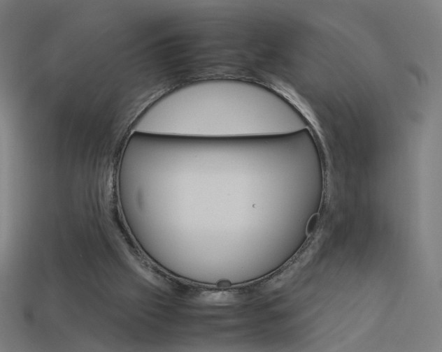 X0000114150057200910081121