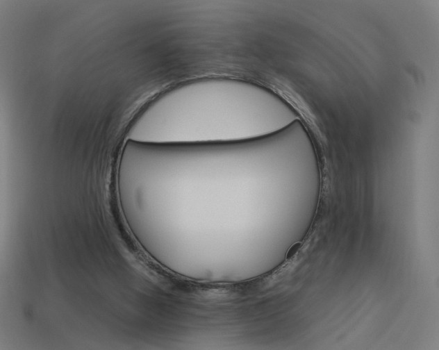 X0000114150058200910081121