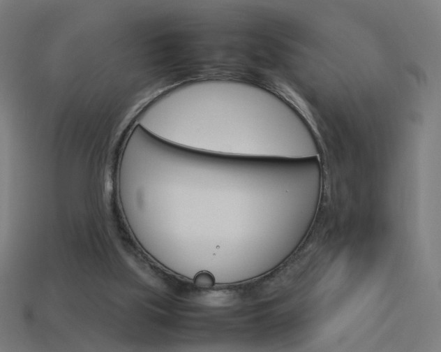 X0000114150059200910081121