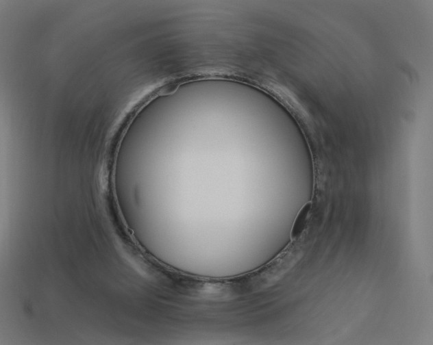 X0000114150060200910081121