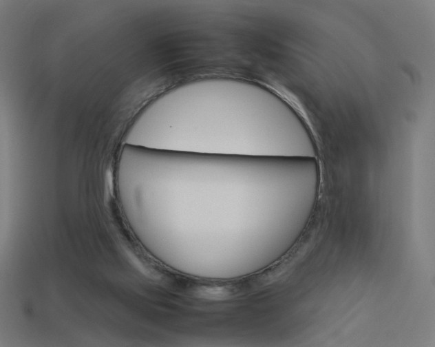 X0000114150061200910081121
