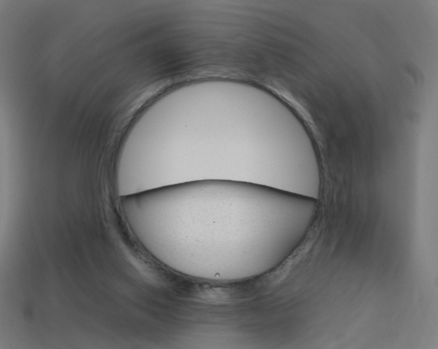 X0000114150062200910081121