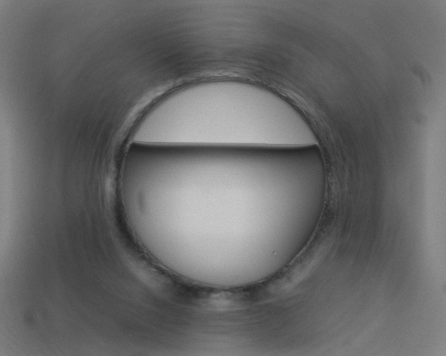X0000114150064200910081121