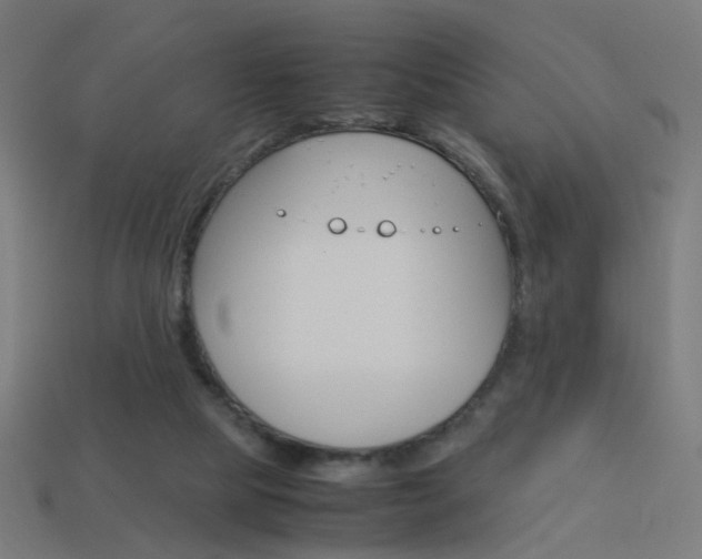 X0000114150065200910081121