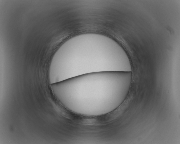 X0000114150066200910081121