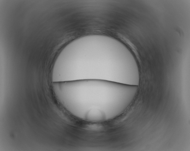 X0000114150067200910081121