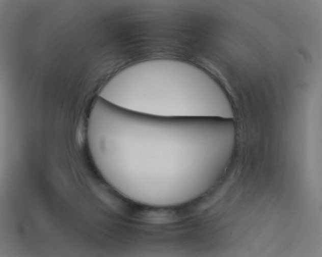 X0000114150069200910081122