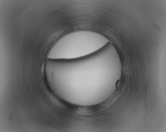 X0000114150070200910081122