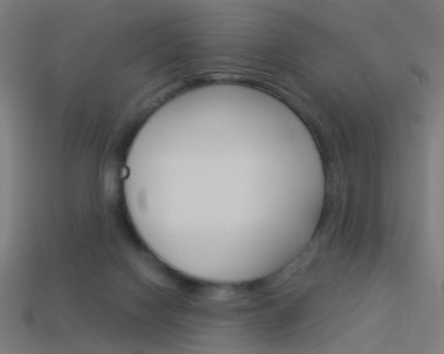 X0000114150074200910081122