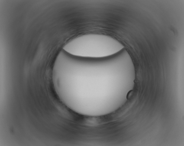 X0000114150079200910081122
