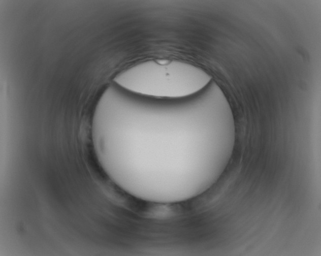 X0000114150083200910081122