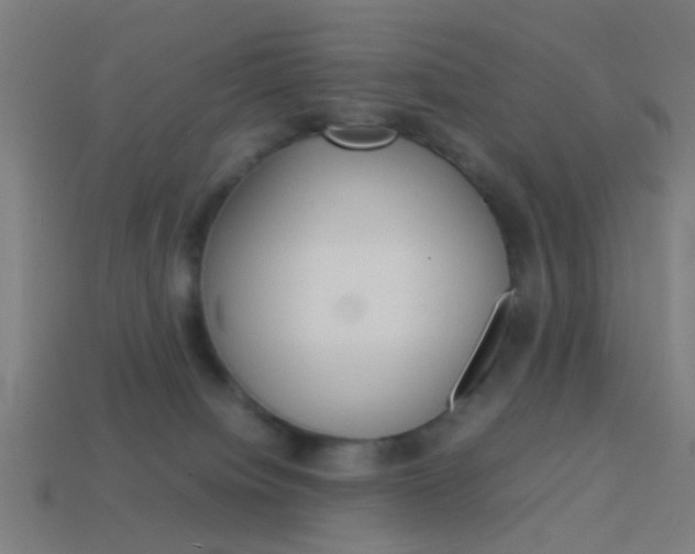 X0000114150084200910081122
