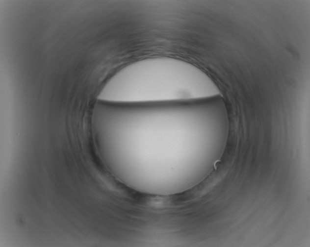 X0000114150088200910081122