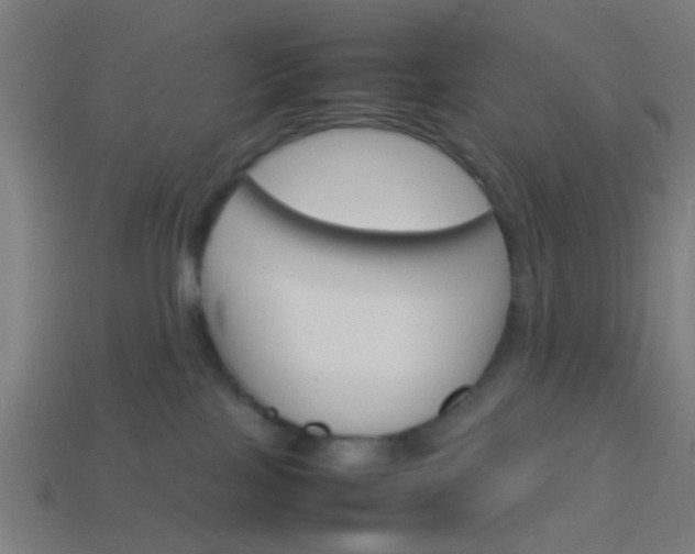 X0000114150089200910081122