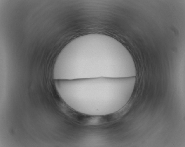 X0000114150090200910081122