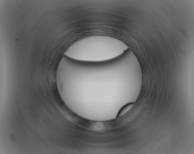 X0000114150091200910081122