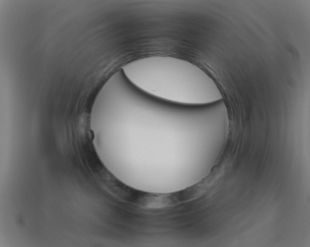 X0000114150093200910081122