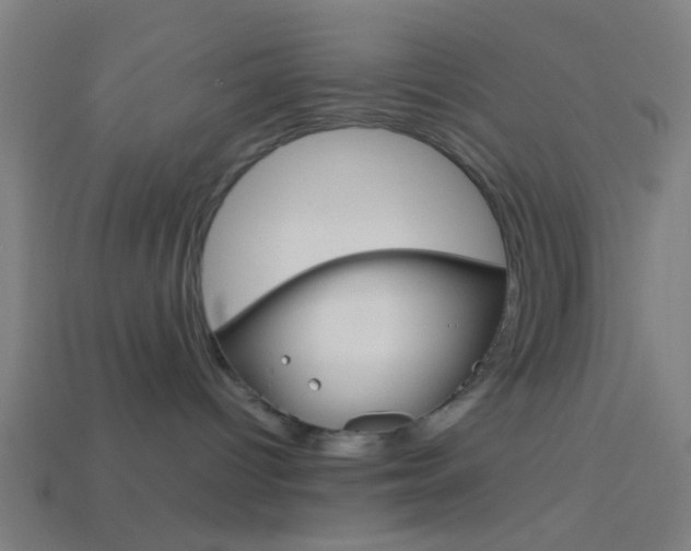 X0000114150096200910081122