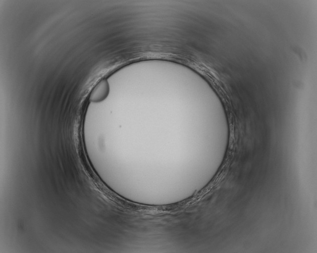 X0000114150098200910081121