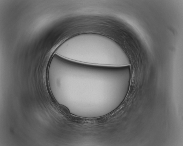 X0000114150099200910081121