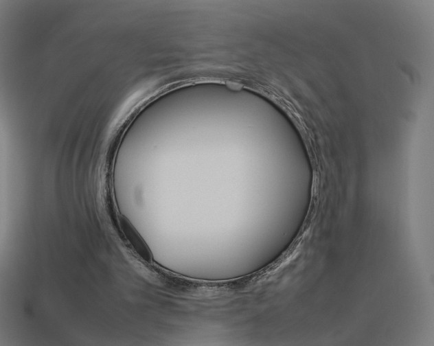X0000114150101200910081121
