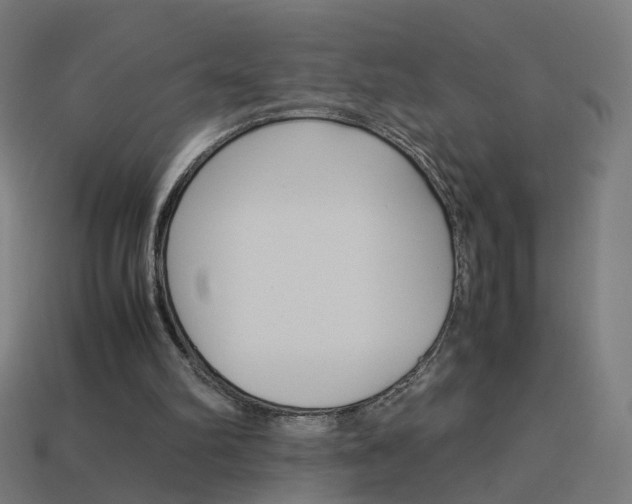 X0000114150102200910081121