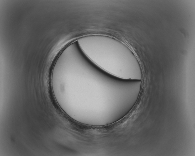 X0000114150103200910081121
